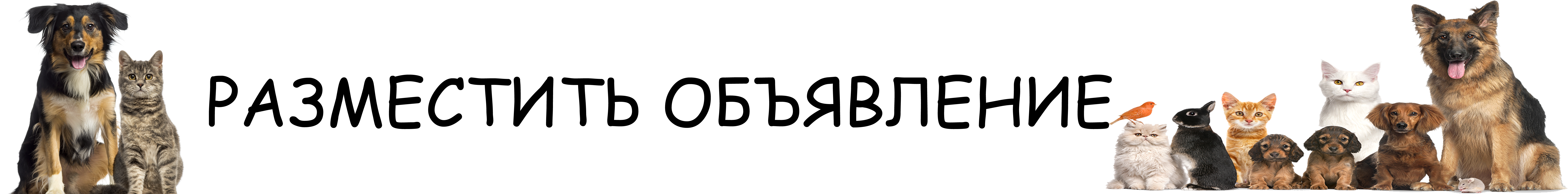 block-728