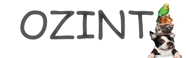 Название приложения Logo